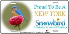 Snowbirds New York License Plate