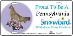 Snowbirds Pennsylvania License Plate