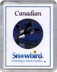 Snowbird Canadian Magnet