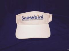 Snowbird Visor