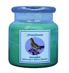 Snowbirds Green Candle