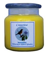 Snowbirds Yellow Candle