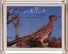 Snowbirds Arizona Female Bird Magnet